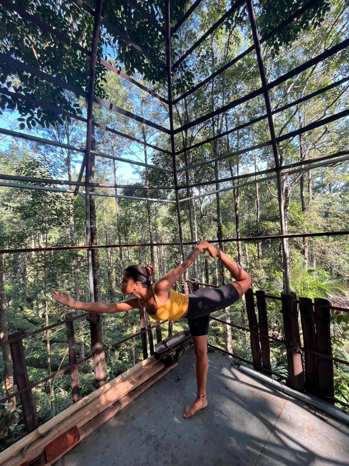 Jungle Jive Treehouse And Farm House Munnar Exterior photo